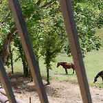La Bastide Holiday home Puycalvel Lautrec