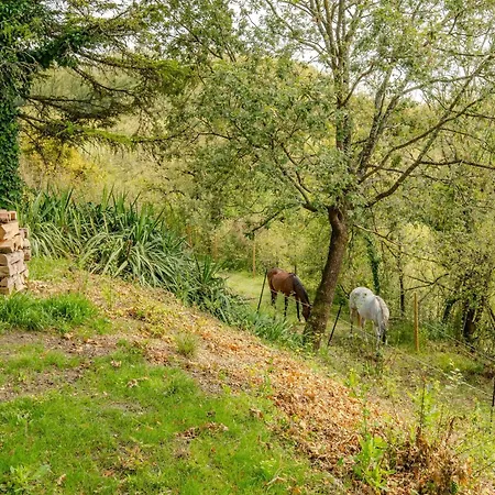 La Bastide Dom wakacyjny *