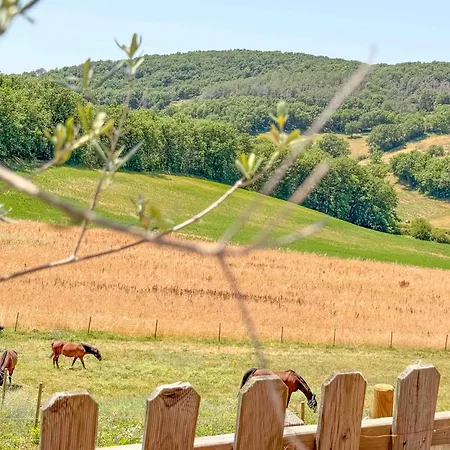 La Bastide 펜션 *