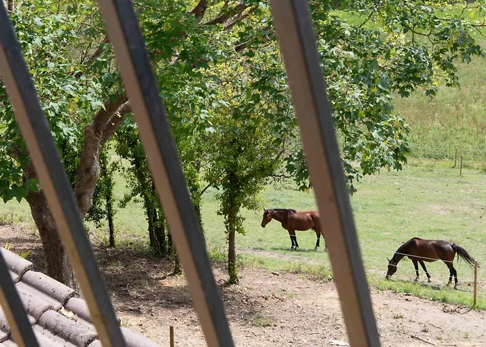 La Bastide 펜션 Puycalvel Lautrec